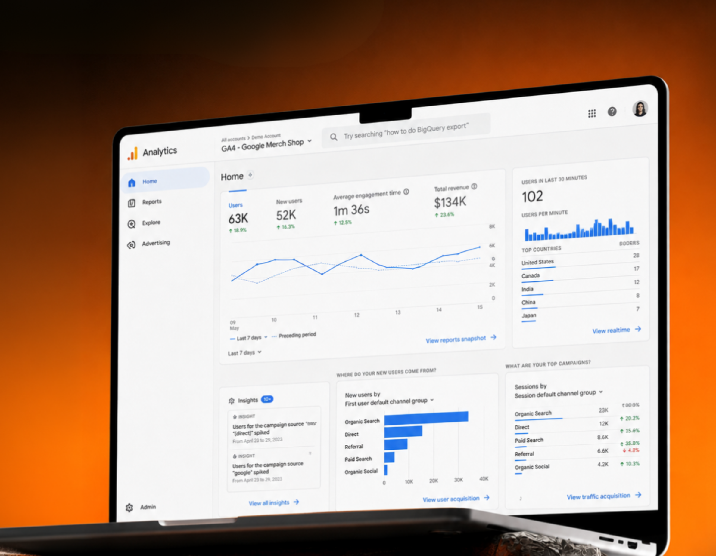 Google Search & Performance Max Dominance